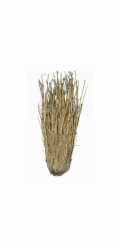 Lucky Reptile Grass Bushes