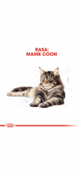 ROYAL CANIN FBN Maine Coon Adult suché krmivo pro kočky - 10kg