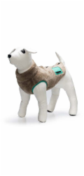 Psí bunda Beeztees TEDDY, hnědá, 24 cm