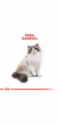 Royal Canin Ragdol Adult suché krmivo pro dospělé kočky ragdoll 2 kg