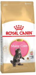 Royal Canin Maine Coon Kitten cats dry 