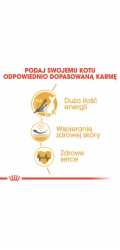 Royal Canin Sphynx suché krmivo pro kočky 2 kg