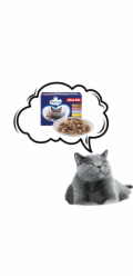 PREVITAL Cat Food Megabox s jehněčím, hovězím, králíkem a kuřetem v omáčce Box - mokré krmivo pro kočky - 24 x 100g