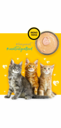 3COTY Chicken For kittens - mokré krmivo pro kočky - 80g