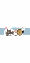 3COTY 41. Turkey and chicken for kittens - mokré krmivo pro kočky - 180g