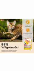 INABA Churu Variety box Chicken and beef - pamlsek pro kočky - 20 x 14g
