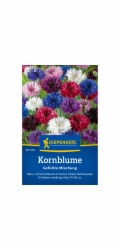 Kiepenkerl Chrpy "Double Mix" vícebarevné