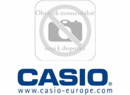 Laser Scanner Casio DT 5057 CF 