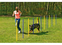 Karlie Agility slalom 12 x 100 cm