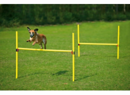 Karlie-Flamingo Karlie Agility překážka, žlutá