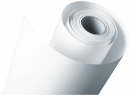 1x2 Fujifilm DL papir DL600 305 mm x 100 m glossy