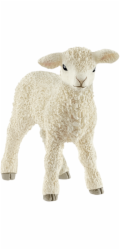 Schleich Farm World        13883 Lamb