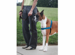 PetSafe® postroj, EasyWalk Deluxe, modrý, velikost S