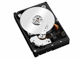 WD Pro 4TB, SATAIII, WD4003FFBX /600 256MB cache NAS