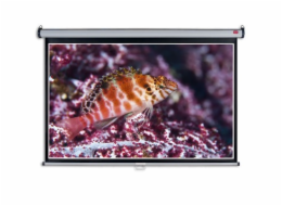 Nástěnné projekční plátno NOBO, 240x160cm (16:10)