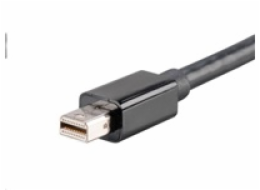 AKASA adaptér Mini DisplayPort na DVI passive, 20cm