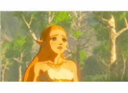 HRA SWITCH Lege. of Zelda Breath of Wild