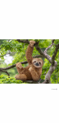 Schleich Wild Life         14793 Sloth