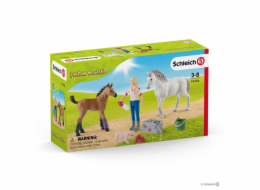 Schleich Farm World       42486 Vet visiting Mare and Foal