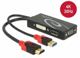 Delock - Nástroj pro převod videa - HDMI - DVI, DisplayPort, VGA - černá - maloobchod