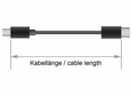 Delock - USB kabel - 24 pin USB-C (M) do 24 pin USB-C (M) - USB 3.1 Gen 1 - 5 A - 2 m - černá