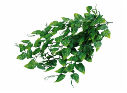 Lucky Reptile Jungle Plants Philo cca 50 cm