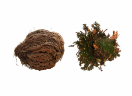 Lucky Reptile "Rose of Jericho" 50 g