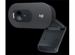 Logitech HD Webcam C505e, HD 720p