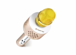 Technaxx BT-X35 PRO Bluetooth karaoke mikrofon, zlato-stříbrná