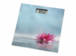 Xavax Rosa, Digitální Osobní Váha