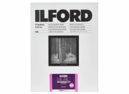 1x100 Ilford MG RC DL  1M  18x24