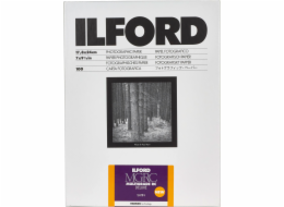 1x100 Ilford MG RC DL 25M  18x24