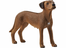 Schleich 13895 Farm World Rhodesian Ridgeback