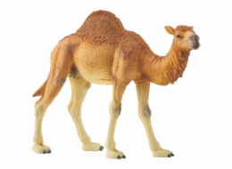 Schleich 14832 Wild Life Dromedary