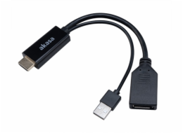 Akasa HDMI to DisplayPort Adapter Cable - Black