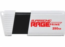 Patriot Rage Prime 600 MB/S 256 GB USB 3.2 8K IOPS PAMPATFLD0137