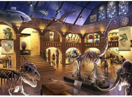 Ravensburger Puzzle at Natural History Museum (12925)