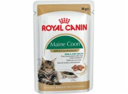 ROYAL CANIN FBN Maine Coon - Mokré krmivo pro kočky - sáček 12x 85g