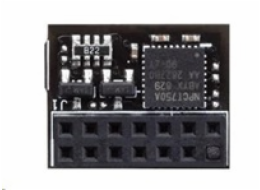 ASUS TPM-SPI