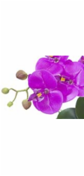 Orchidej fialová v dekoračním květináči, 45 cm