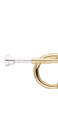 Stagg WS-TR115