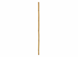 Tyč bambusová, prům.5cm, délka 200cm