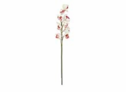 Orchidej větvička, bílo-růžová, 90 cm