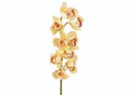 Orchidej větvička, žlutá, 90 cm
