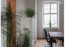 Orchidej větvička, krémově-bílá, 100 cm