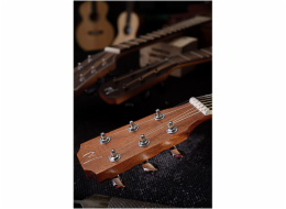 James Neligan ASY-A, akustická kytara typu Auditorium