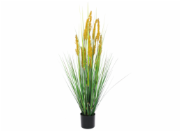 Polní tráva s klasy, 120 cm