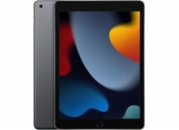 Apple iPad 9.gen/WiFi/10,2"/2160x1620/256GB/iPadOS15/Space Gray