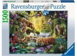 Puzzle Ravensburger 1 500 dílků Tygři nad vodou
