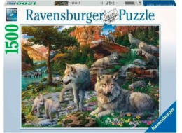 2D puzzle 1500 dílků Jarní vlci